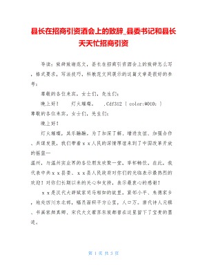 县长在招商引资酒会上的致辞_县委书记和县长天天忙招商引资.doc