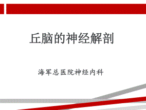 丘脑的神经解剖ppt课件.ppt