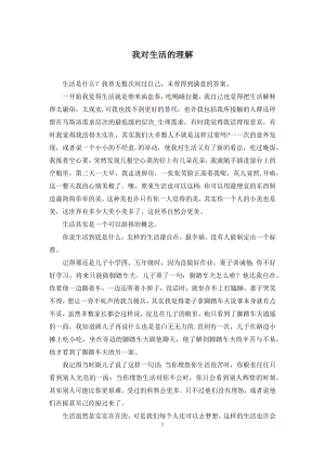 我对生活的理解.docx