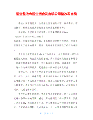 巡查整改专题生活会发言稿公司整改发言稿.doc