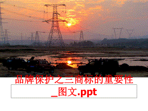 最新品牌保护之三商标的重要性_图文.pptppt课件.ppt