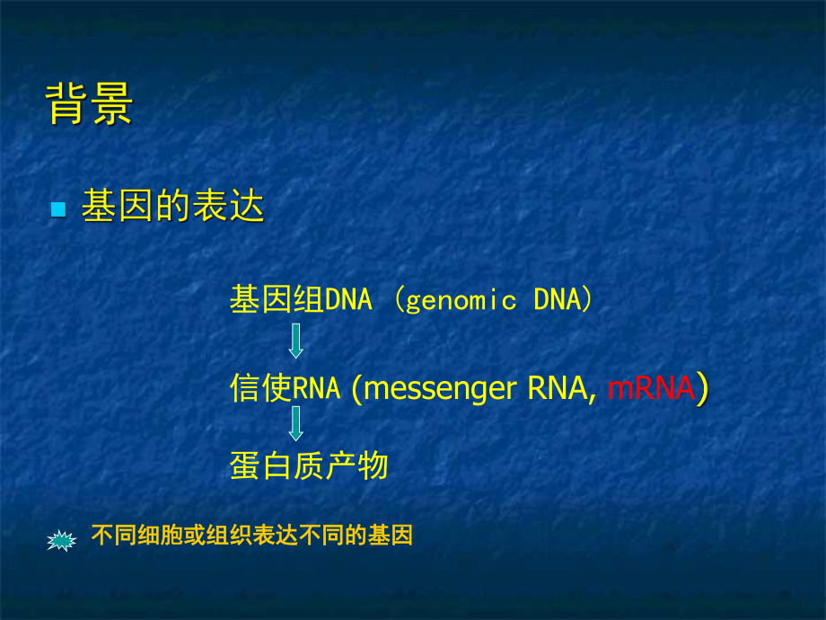 RT-PCR反转录原理及方法.ppt_第2页