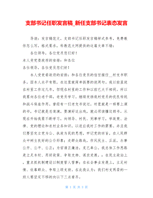 支部书记任职发言稿_新任支部书记表态发言.doc