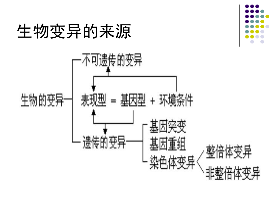 最新变异育种遗传病精品课件.ppt_第2页