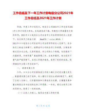 工作总结及下一年工作计划电信分公司2021年工作总结及2021年工作计划.doc