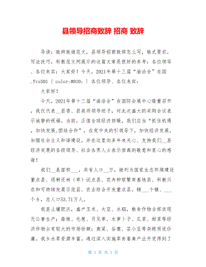 县领导招商致辞 招商 致辞.doc