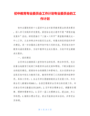 初中教育专业委员会工作计划专业委员会的工作计划.doc