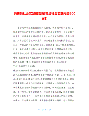 销售员社会实践报告-销售员社会实践报告3000字.doc