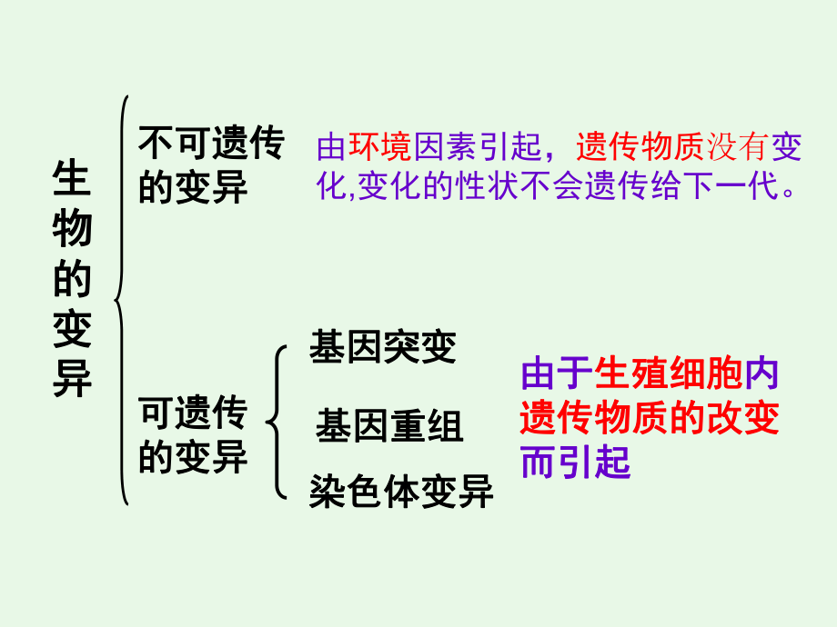 基因突变和基因重组--汉水丑生ppt课件.ppt_第2页