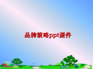 最新品牌策略ppt课件精品课件.ppt