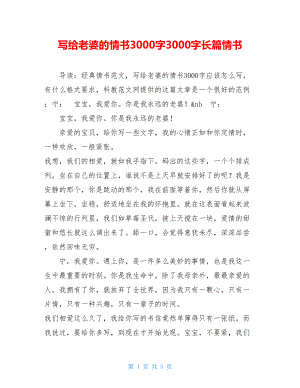 写给老婆的情书3000字3000字长篇情书.doc