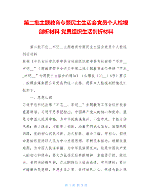 第二批主题教育专题民主生活会党员个人检视剖析材料 党员组织生活剖析材料.doc