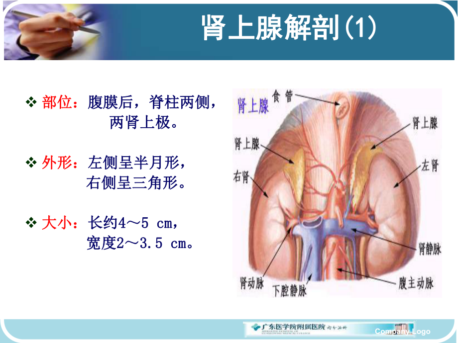 最新吴美芬库欣综合征精品课件.ppt_第2页