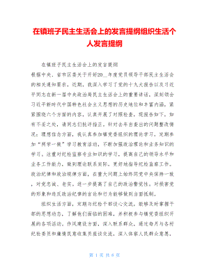 在镇班子民主生活会上的发言提纲组织生活个人发言提纲.doc