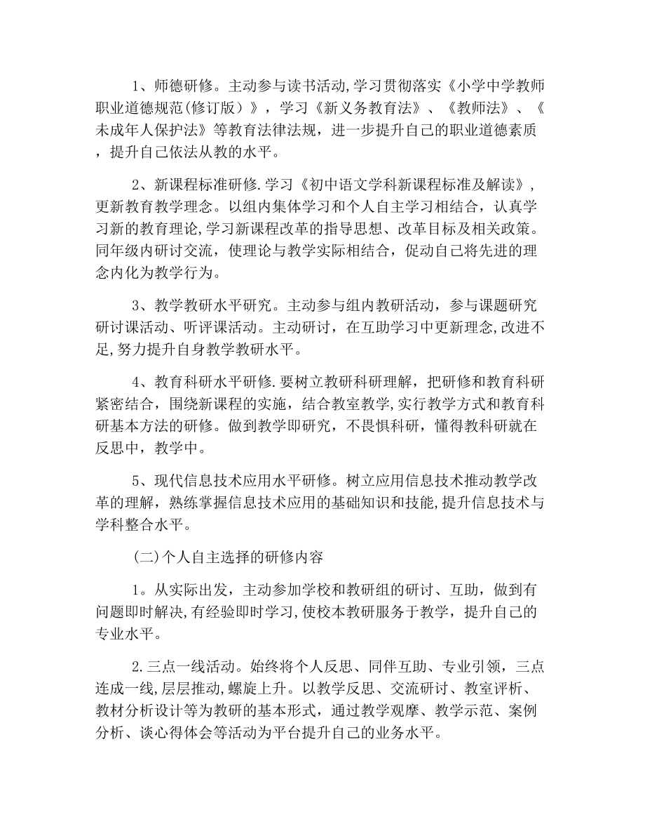 教师网络培训个人研修计划.docx_第2页