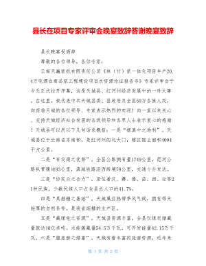 县长在项目专家评审会晚宴致辞答谢晚宴致辞.doc