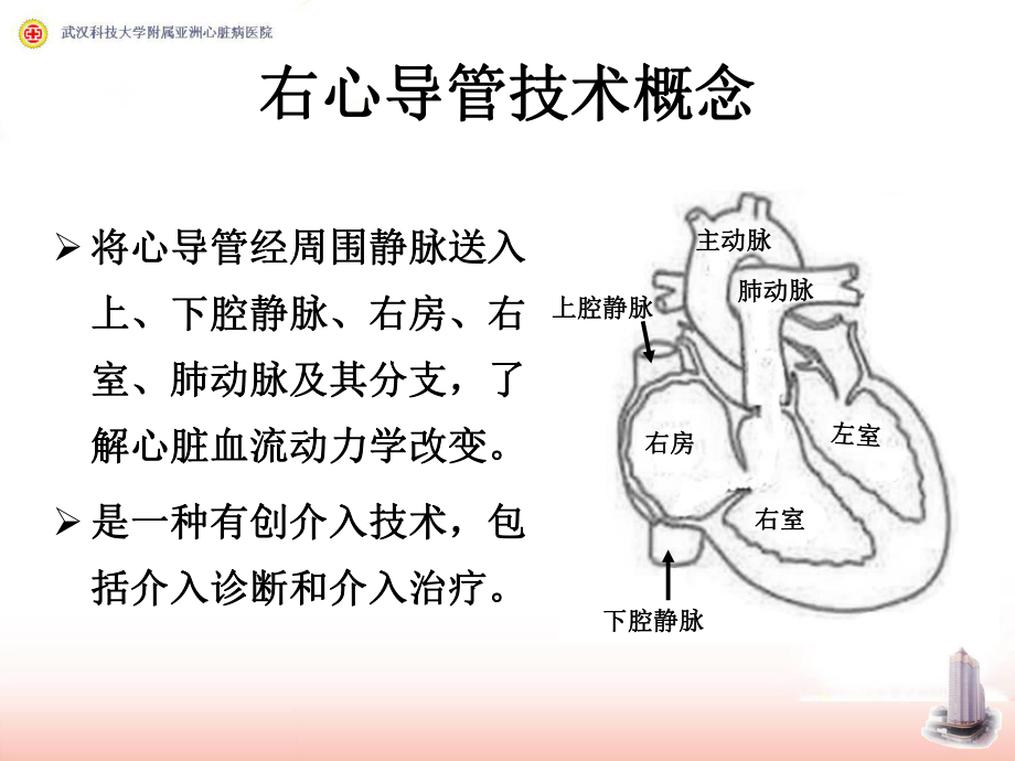 最新右心导管检查及心血管造影幻灯片.ppt_第2页