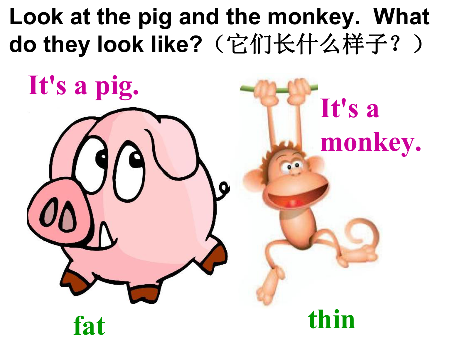 PEP小学英语三年级下册Unit3-At-the-zoo-Part-B-Let's-learn.ppt_第2页