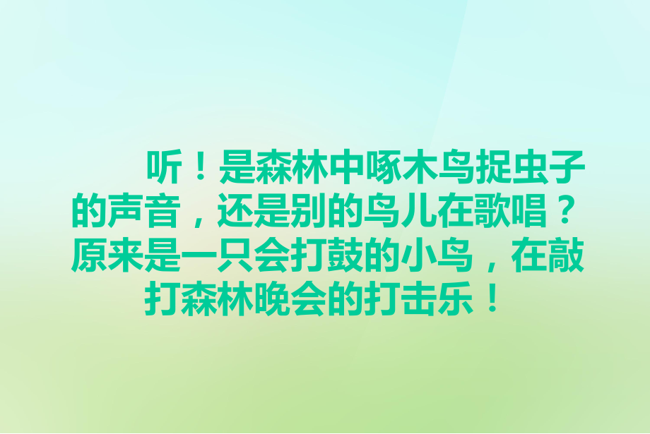 会打鼓的鸟ppt课件.ppt_第1页