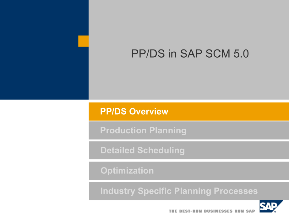 PPDS-Overview.ppt_第2页