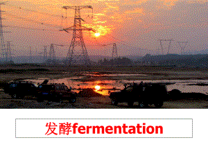 最新发酵fermentationPPT课件.ppt