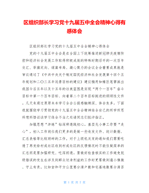 区组织部长学习党十九届五中全会精神心得有感体会.doc