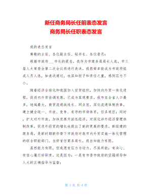 新任商务局长任前表态发言 商务局长任职表态发言.doc