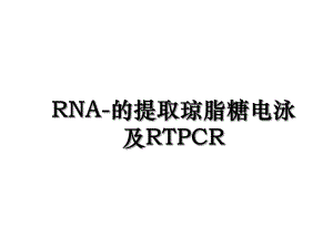 RNA-的提取琼脂糖电泳及RTPCR.ppt