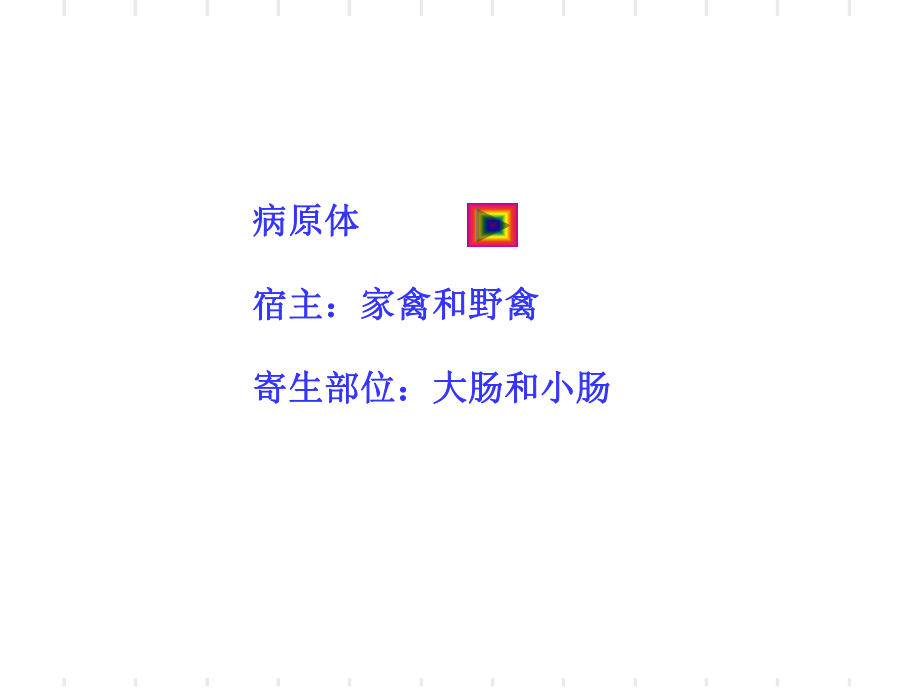 最新吸虫病棘口吸虫精品课件.ppt_第2页