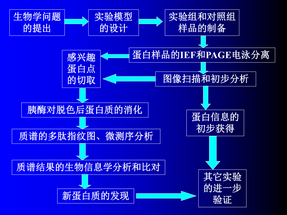 最新双向电泳的样品制备ppt课件.ppt_第2页