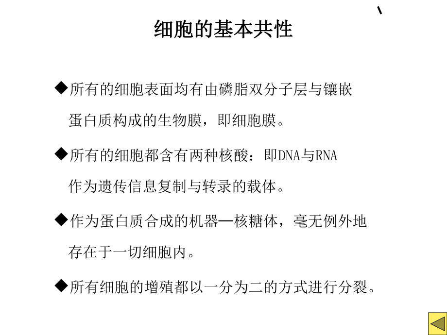 最新原核细胞和真核细胞大比较PPT课件.ppt_第2页