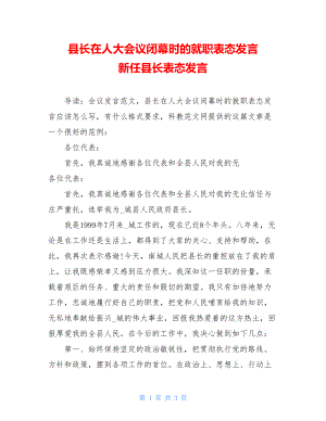 县长在人大会议闭幕时的就职表态发言 新任县长表态发言.doc