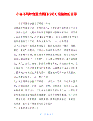 市容环境综合整治百日行动方案整治的意思.doc