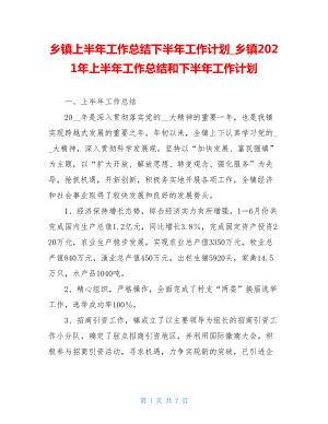 乡镇上半年工作总结下半年工作计划_乡镇2021年上半年工作总结和下半年工作计划.doc