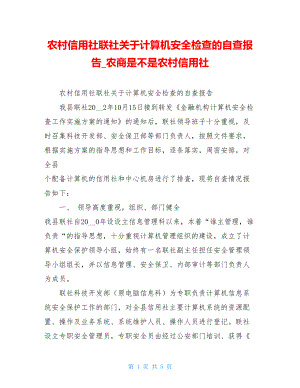 农村信用社联社关于计算机安全检查的自查报告_农商是不是农村信用社.doc