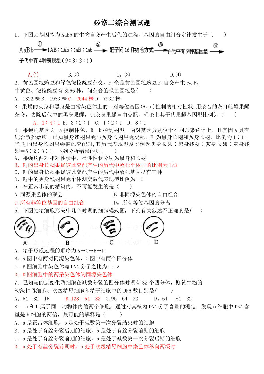 必修二综合测试题.doc_第1页