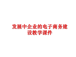 最新发展中企业的电子商务建设教学课件ppt课件.ppt