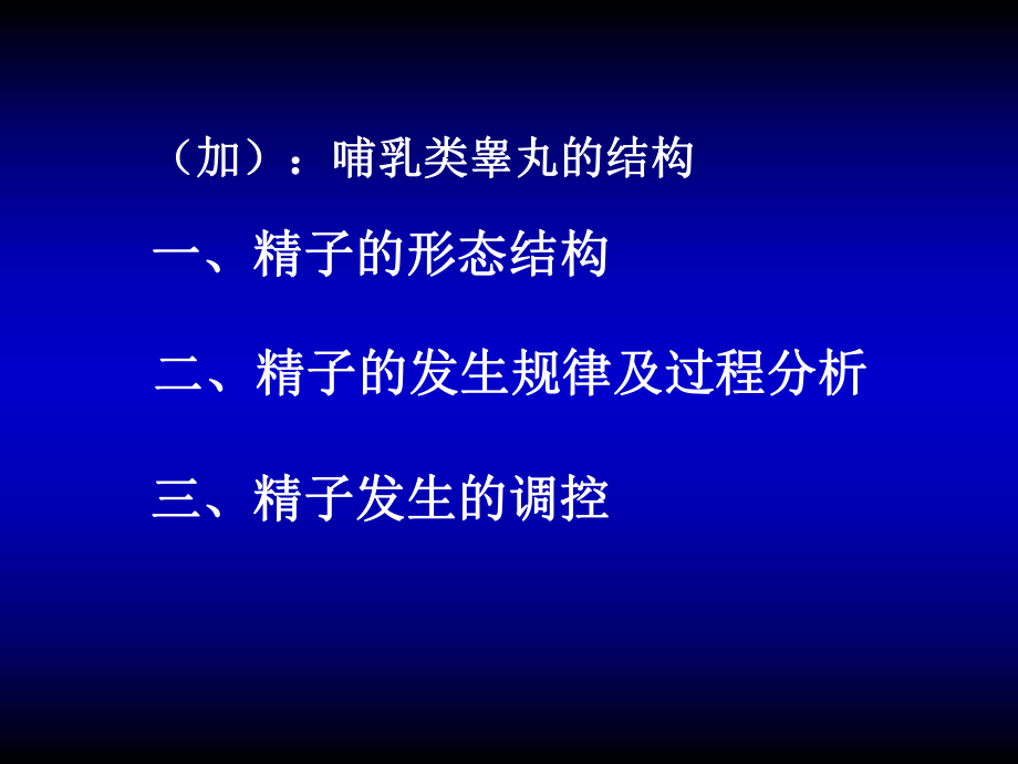 最新发育生物学02精子发生PPT课件.ppt_第2页