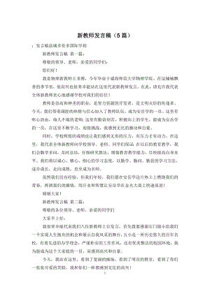 新教师发言稿(5篇).doc