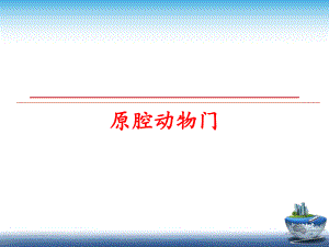 最新原腔动物门幻灯片.ppt