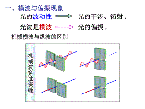 偏振原理及应用ppt课件.ppt