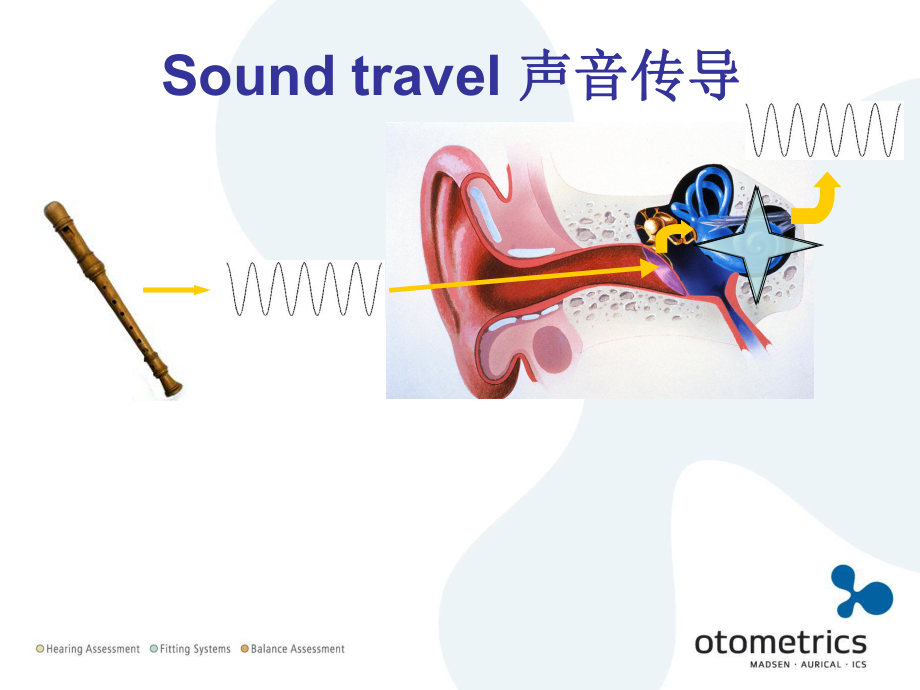 声导抗基础知识ppt课件.ppt_第2页