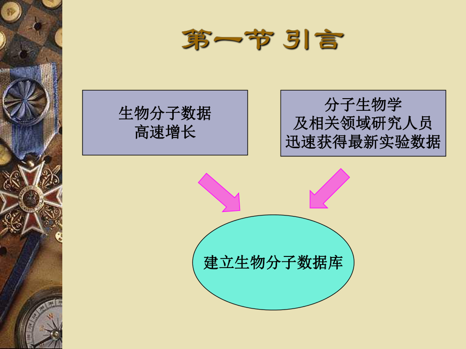 最新四章生物分子数据库幻灯片.ppt_第2页