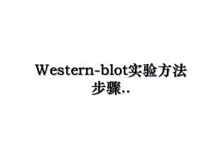 Western-blot实验方法步骤...ppt