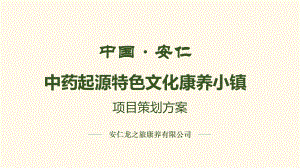 中药起源特色文化康养小镇策划方案ppt课件.pptx