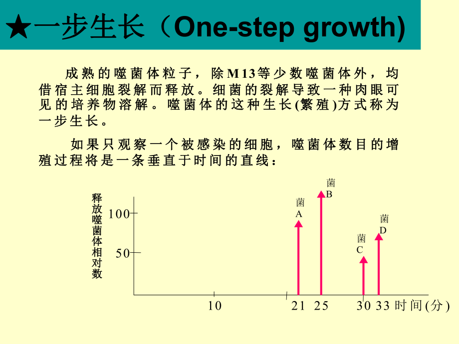 最新噬菌体的效价测定精品课件.ppt_第2页