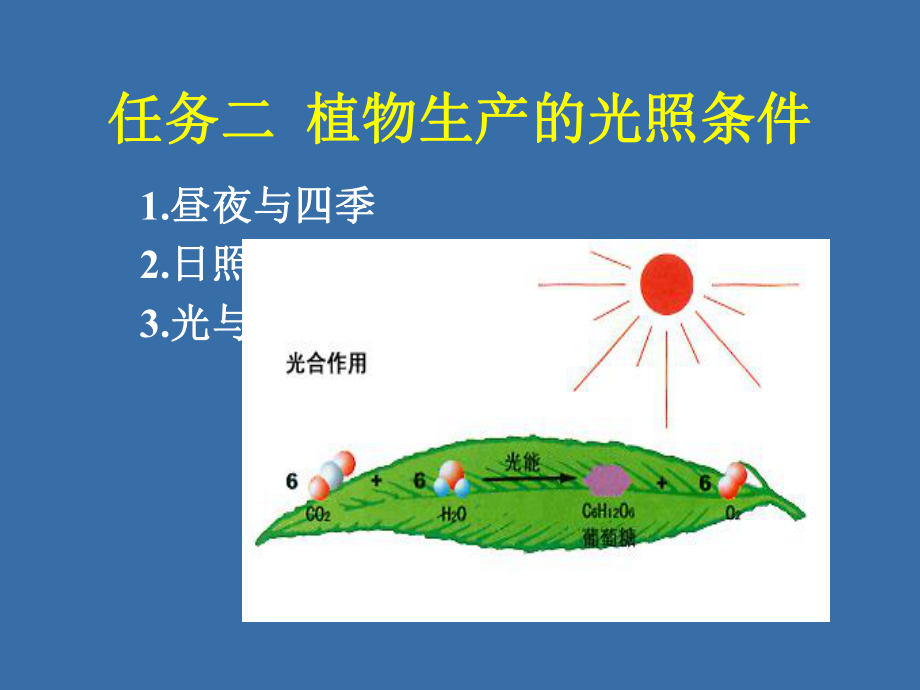 任务二植物生产的光照条件ppt课件.ppt_第1页