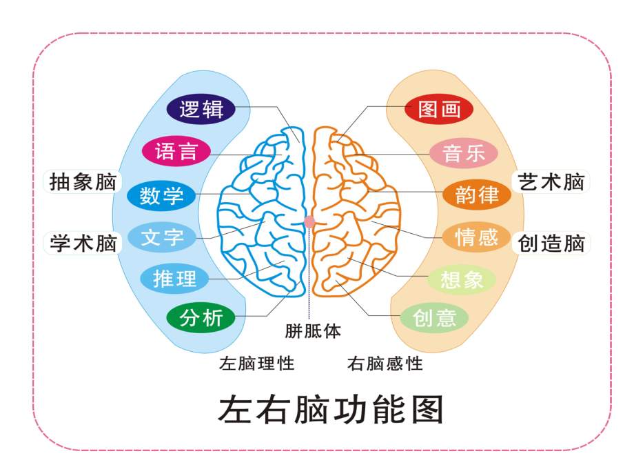 右脑开发试听课ppt课件.ppt_第2页