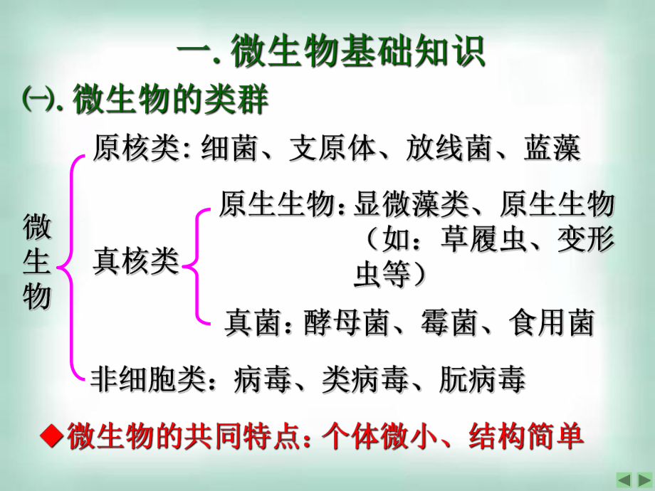 课题1_微生物的实验室培养.ppt_第2页