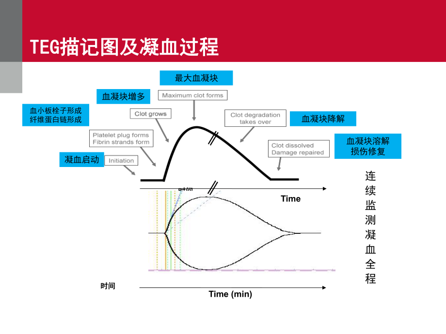 TEG血栓弹力图的临床应用资料.ppt_第2页